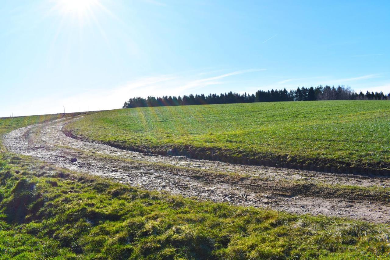 "La Vieille Grange", Au Coeur De La Nature Laveline-du-Houx Exteriör bild